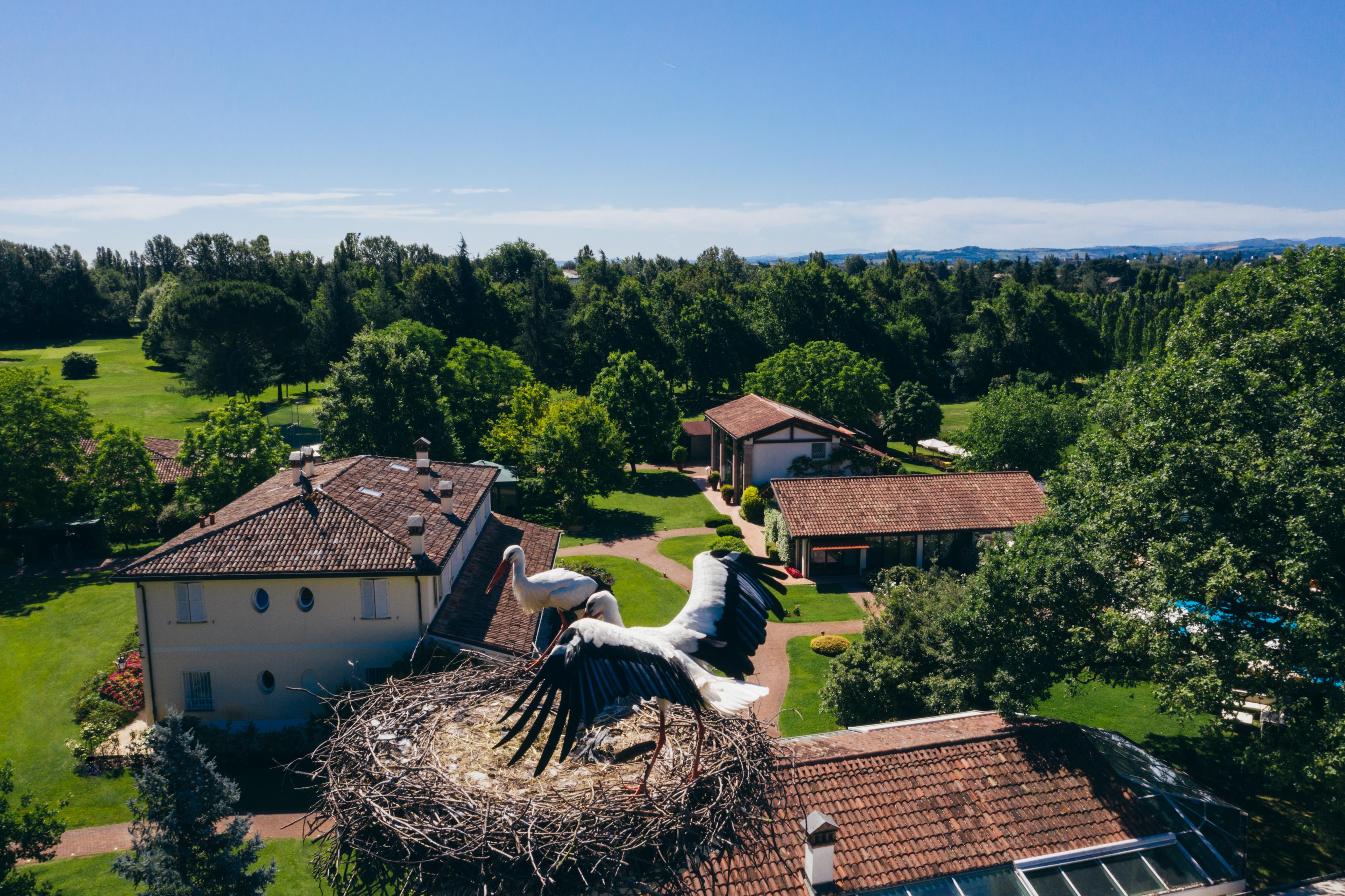 Villa Abbondanzi Resort Faenza Exterior foto